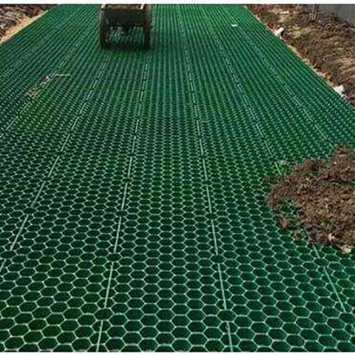 植草�?
